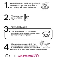 Семена Маргаритка "Весна-Красна", ц/п,  0,02 г