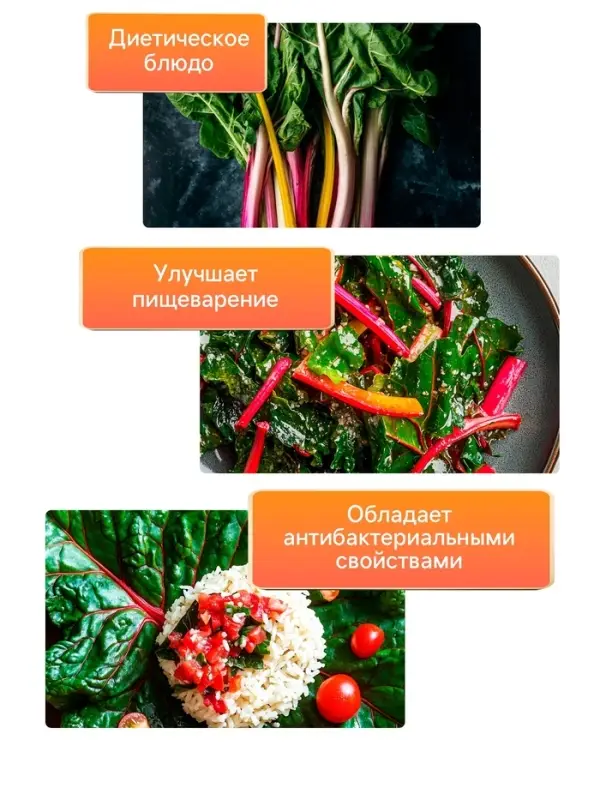 Семена Мангольд  Семена Мангольд "Павлиний хвост", смесь, 1 г