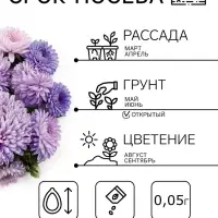 Семена цветов Астра &laquo;Леди Корал лавандовая&raquo;, однолетняя, 0.05 г, &laquo;Гавриш&raquo;