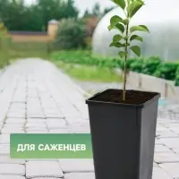 Горшок для рассады, 2 л, 12&times;12&times;17 см, пластик, чёрный