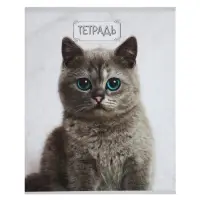 Тетради 48 листов в клетку, Calligrata &laquo;Милые котята&raquo;, серые листы, 5 штук
