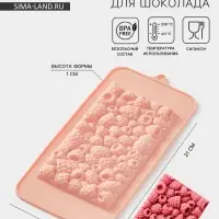 Форма для шоколада Доляна &laquo;Малина&raquo;, 21&times;10&times;1 см, силикон, бежевая