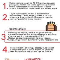 Семена Лук репчатый «Красный», 0.3 г
