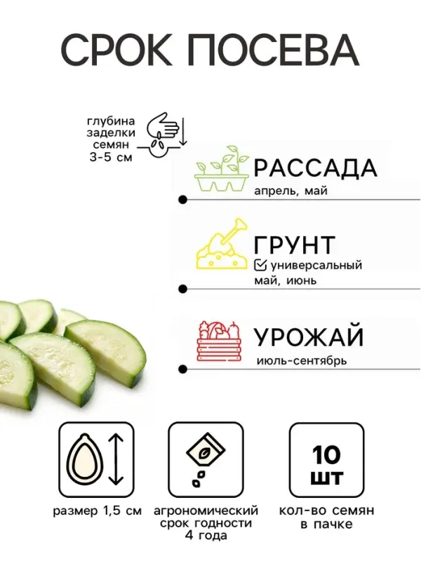 Семена Кабачок &laquo;Египетская Сила&raquo;, 10 шт., &laquo;Уральский Дачник&raquo;