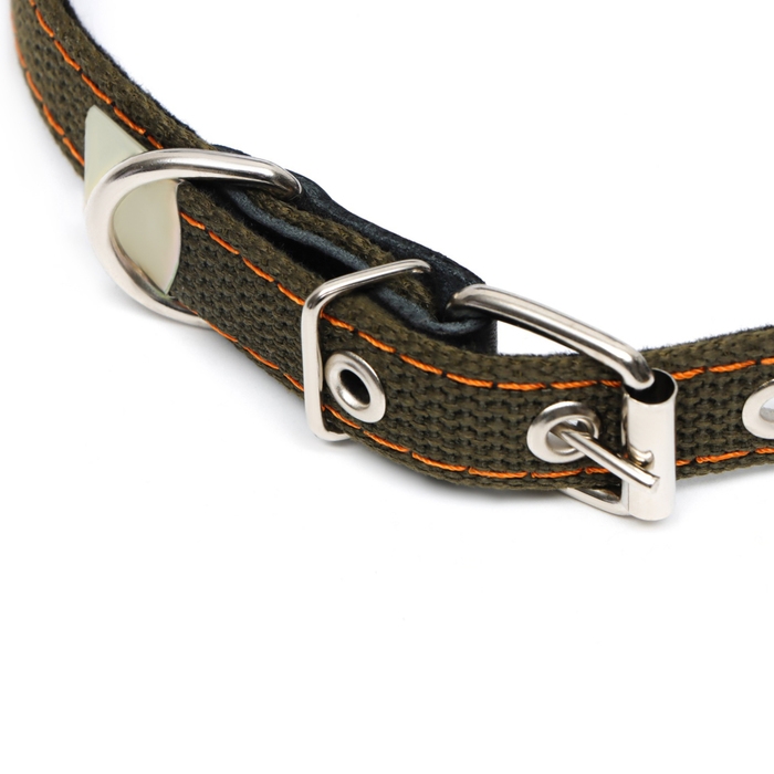 Ошейник брезентовый с подкладом, 50 х 2 см, ОШ 25-35 см, хаки Ошейник брезентовый с подкладом, 50 х 2 см, ОШ 25-35 см, хаки