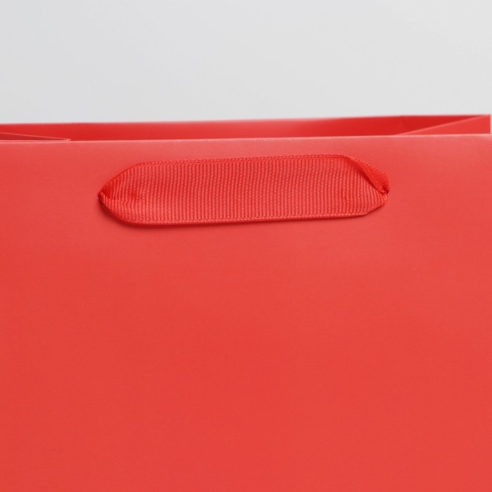 Пакет подарочный ламинированный, упаковка, &laquo;Красный&raquo;, MS 18 х 23 х 10 см