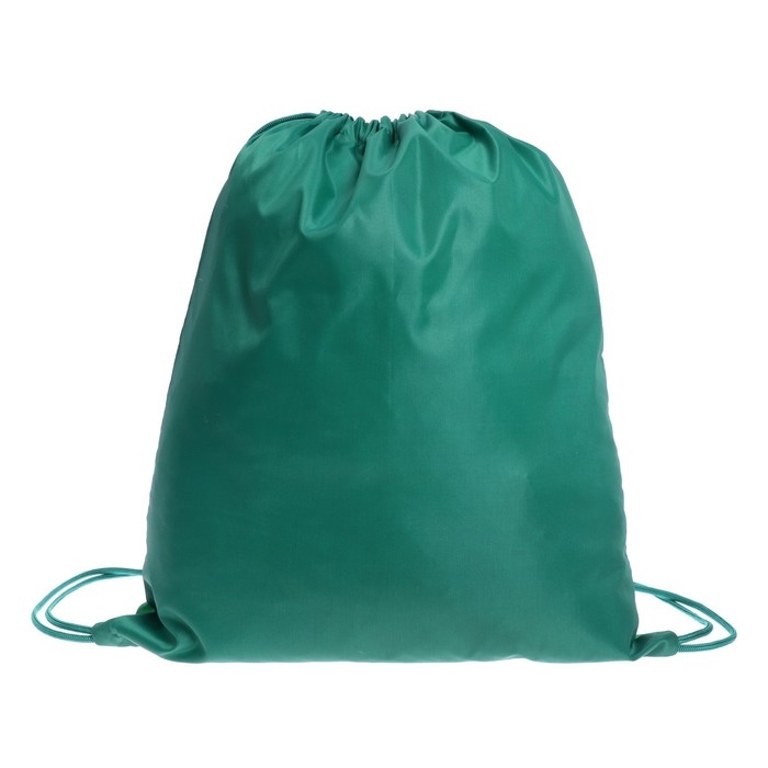 Мешок для обуви 420 х 340 мм, Calligrata МСО-5С, (мягкий полиэстер, плотность 210D),  Мешок для обуви 420 х 340 мм, Calligrata МСО-5С, (мягкий полиэстер, плотность 210D), "Ежик с Авокадо зеленое"