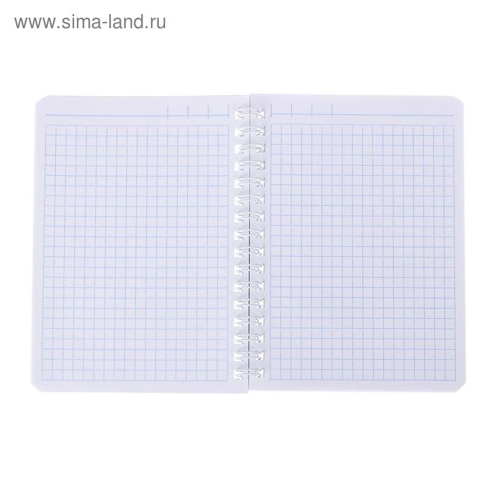 Записная книжка А6, 80 листов, в клетку, на гребне, Royal Cats, картонная обложка, блок офсет, МИКС Записная книжка А6, 80 листов, в клетку, на гребне, Royal Cats, картонная обложка, блок офсет, МИКС