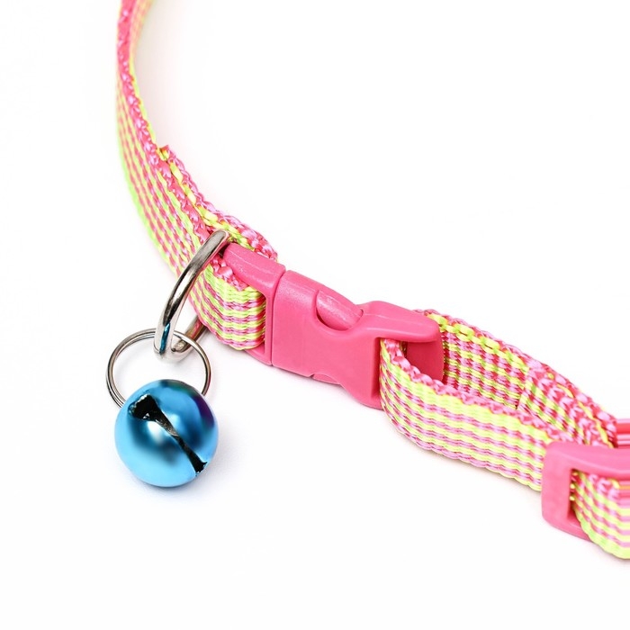 Ошейник нейлоновый Ошейник нейлоновый "Волна", 33 х 1 см, микс цветов