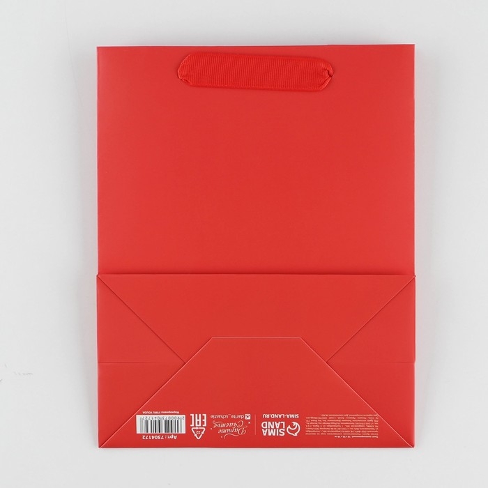 Пакет подарочный ламинированный, упаковка, &laquo;Красный&raquo;, MS 18 х 23 х 10 см