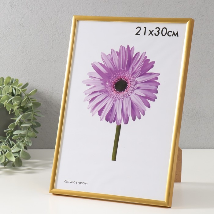 Фоторамка пластик Lida 21х30 см золото Фоторамка пластик Lida 21х30 см золото