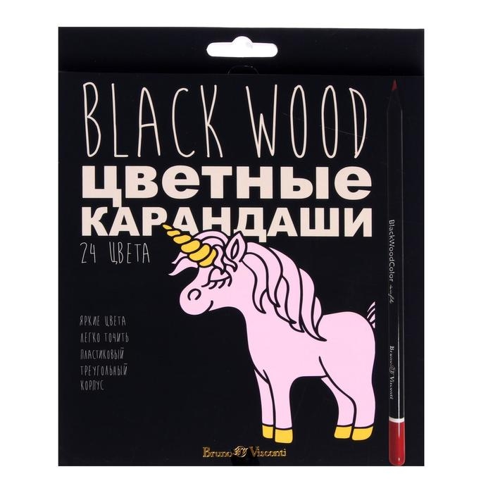 Карандаши 24 цвета BlackWoodColor, пластиковые, трёхгранные, МИКС Карандаши 24 цвета BlackWoodColor, пластиковые, трёхгранные, МИКС