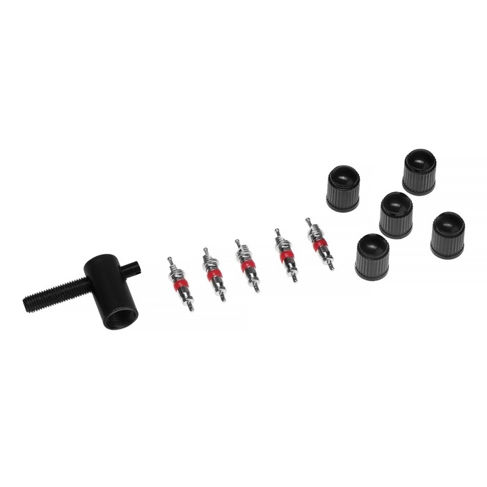 Набор автолюбителя №1, 5 колпачков, пластик, 5 золотников коротких, ключ Набор автолюбителя №1, 5 колпачков, пластик, 5 золотников коротких, ключ