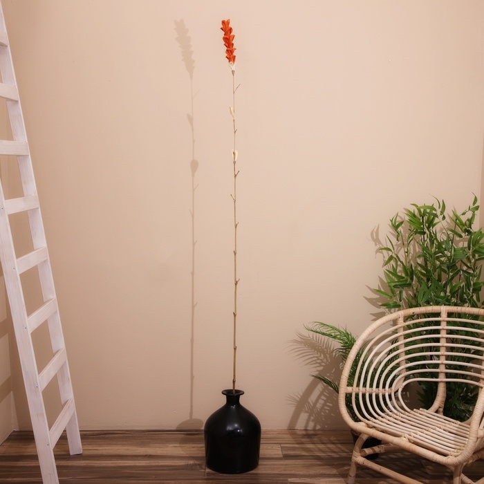 Сухоцвет на бамбуковом стебле 150 см коралловый Сухоцвет на бамбуковом стебле 150 см коралловый