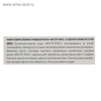 Гуашь художественная в банке 20 мл, ЗХК "Мастер класс", набор, 16 цветов (1741092)