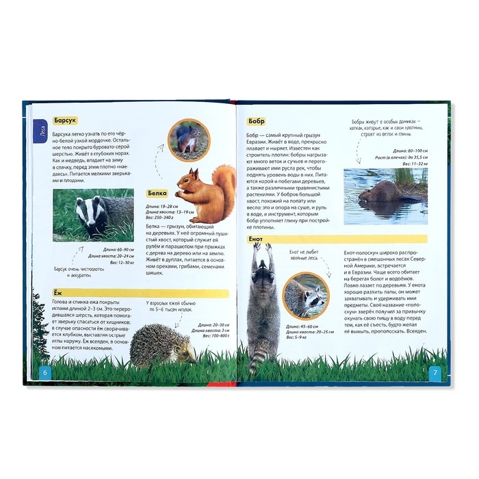 Детская энциклопедия в твёрдом переплёте «Животные», 48 стр. Детская энциклопедия в твёрдом переплёте «Животные», 48 стр.