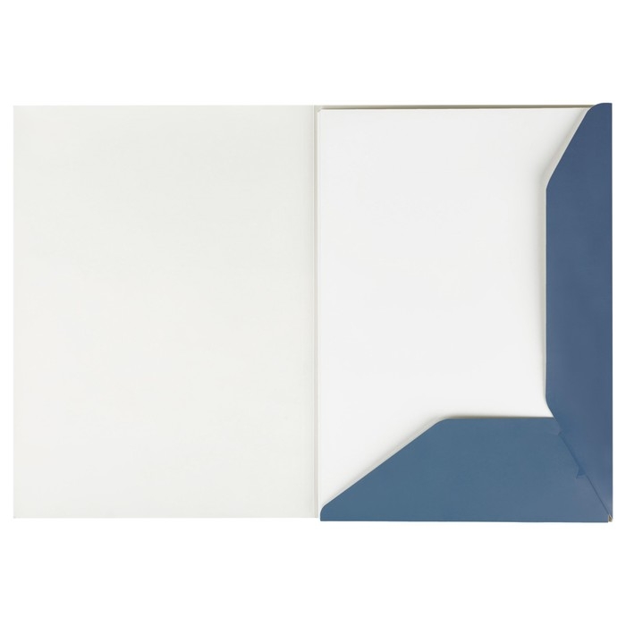 Папка для черчения А4, 24 листа, Гамма  Папка для черчения А4, 24 листа, Гамма "Студия" (бумага Гознак СПб), без рамки, 200г/м2