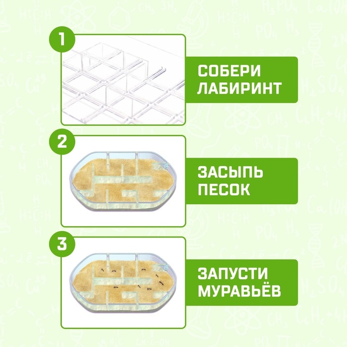 Набор для опытов «Лабиринт для муравьёв» Набор для опытов «Лабиринт для муравьёв»