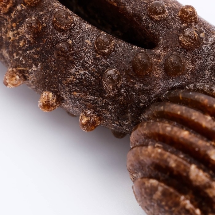 Игрушка для собак Игрушка для собак "Кость с шипами", TPR+Бамбук, 11 см