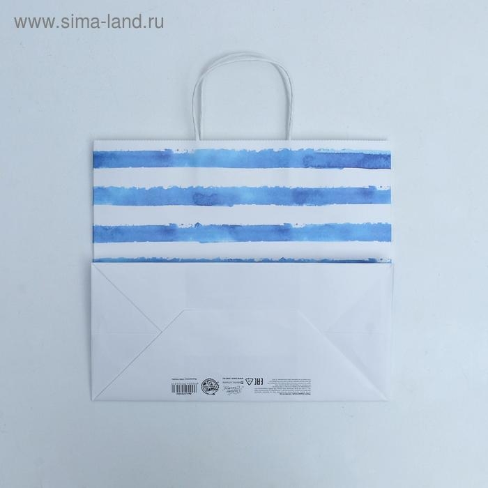 Пакет подарочный крафтовый, упаковка, «Якорь», 32 х 28 х 15 см Пакет подарочный крафтовый, упаковка, «Якорь», 32 х 28 х 15 см