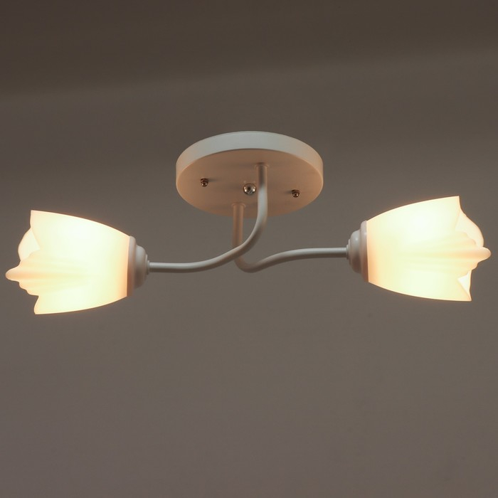 Люстра 1341001/2WT E27 15Вт белый BayerLux Люстра 1341001/2WT E27 15Вт белый BayerLux