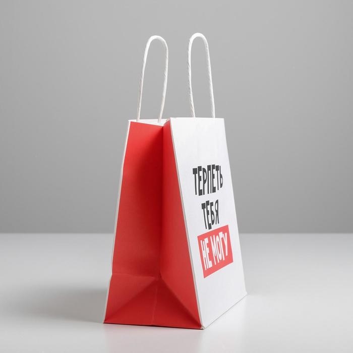 Пакет подарочный, упаковка, «Терпеть тебя не могу», 22 х 22 х 11 см Пакет подарочный, упаковка, «Терпеть тебя не могу», 22 х 22 х 11 см