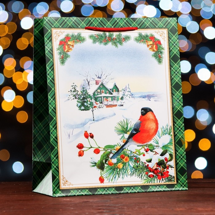 Новый год. Пакет подарочный Новый год. Пакет подарочный "У Ёлочки ", 26 х 32 х 12 см.