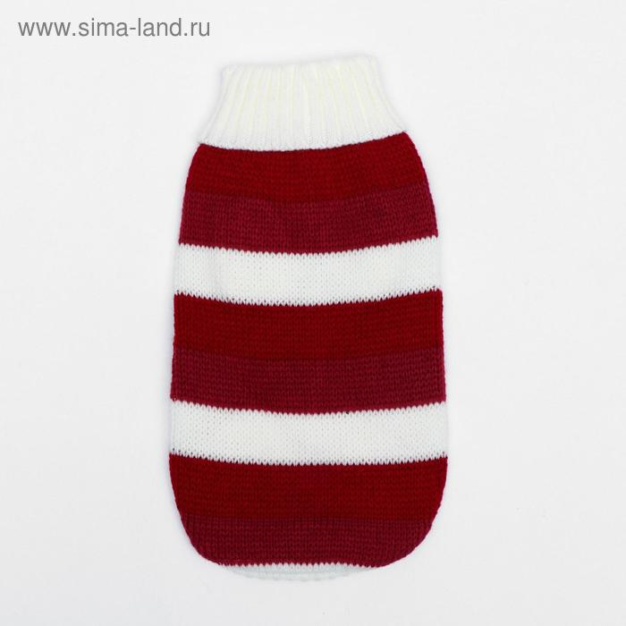 Свитер, размер 10 (ДС 30-45, ОШ 16-31, ОГ 30-45 см), микс расцветок Свитер, размер 10 (ДС 30-45, ОШ 16-31, ОГ 30-45 см), микс расцветок