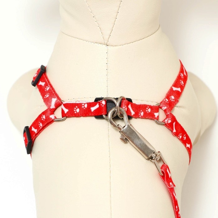 Комплект  Комплект "Классика", капрон, поводок 120 х 1 см, ОГ 21-35 см, красный