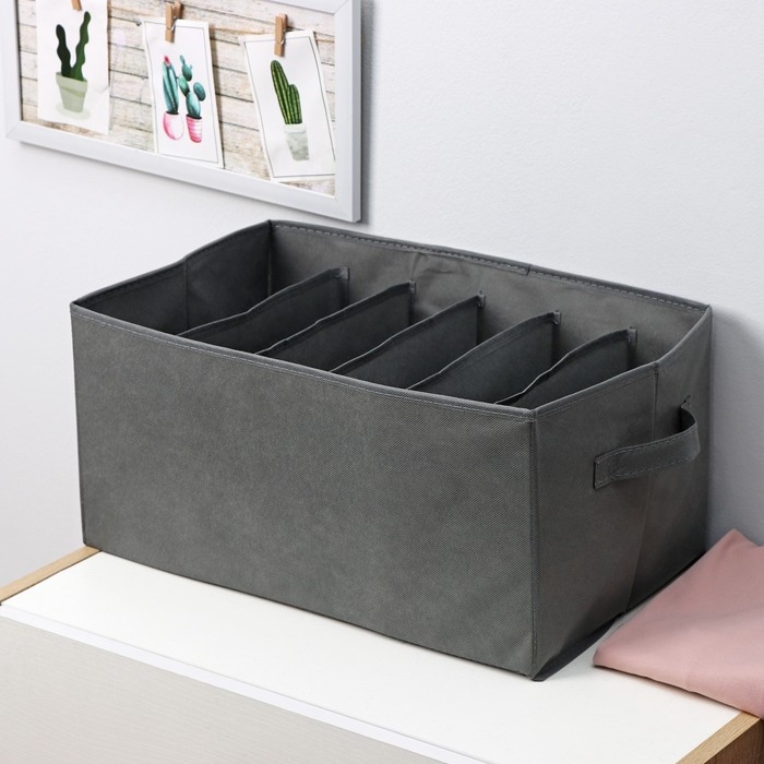 Органайзер для хранения белья «Смарт», 6 ячеек, 44×29×22 см, цвет серый Органайзер для хранения белья «Смарт», 6 ячеек, 44×29×22 см, цвет серый