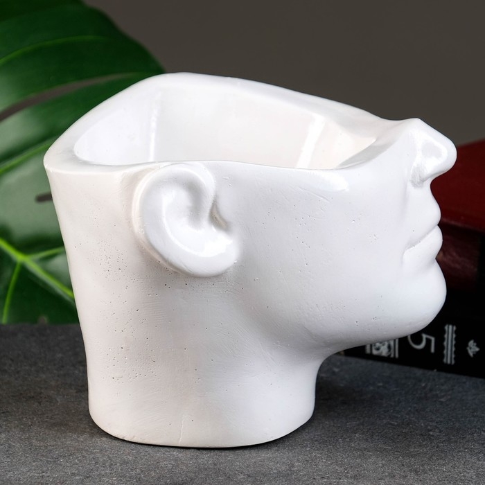 Кашпо - органайзер  Кашпо - органайзер "Эмили" белое, 13х18х16см