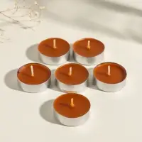 Набор свечей ароматических чайных &laquo;Корица-яблоко&raquo;, 6 шт.