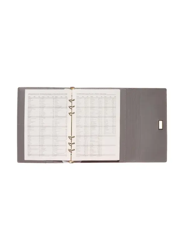 Органайзер на кольцах, А5, с клапаном, 80л, линия, к/зам, с ручкой, Коричневый Органайзер на кольцах, А5, с клапаном, 80л, линия, к/зам, с ручкой, Коричневый