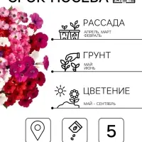 Семена цветов Петуния &laquo;Водопадия&raquo;, смесь сортов, F1, 5 шт., &laquo;АЭЛИТА&raquo;