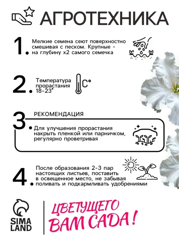 Семена цветов Петуния &laquo;Афродита&raquo;, F1, белая, крупноцветковая, 7 шт., &laquo;Аэлита&raquo;