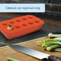 Ящик для выращивания зелёного лука, 29&times;16&times;8.5 см, 2.5 л, 10 лунок, пластик, оранжевый, Greengo
