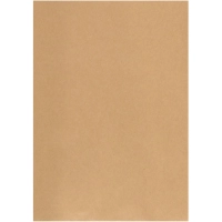 Пакет в упаковке крафт С4 стрип Multipack 229х324 100г 200шт/уп/5701