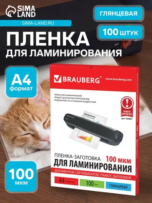 Пленка для ламинирования A4 216&times;303 мм, 100 мкм, 100 штук, глянцевые, BRAUBERG