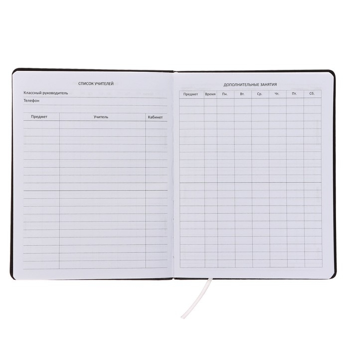 Дневник универсальный для 1-11 класса Chic, твёрдая обложка, искусственная кожа, с поролоном, ляссе, 80 г/м2