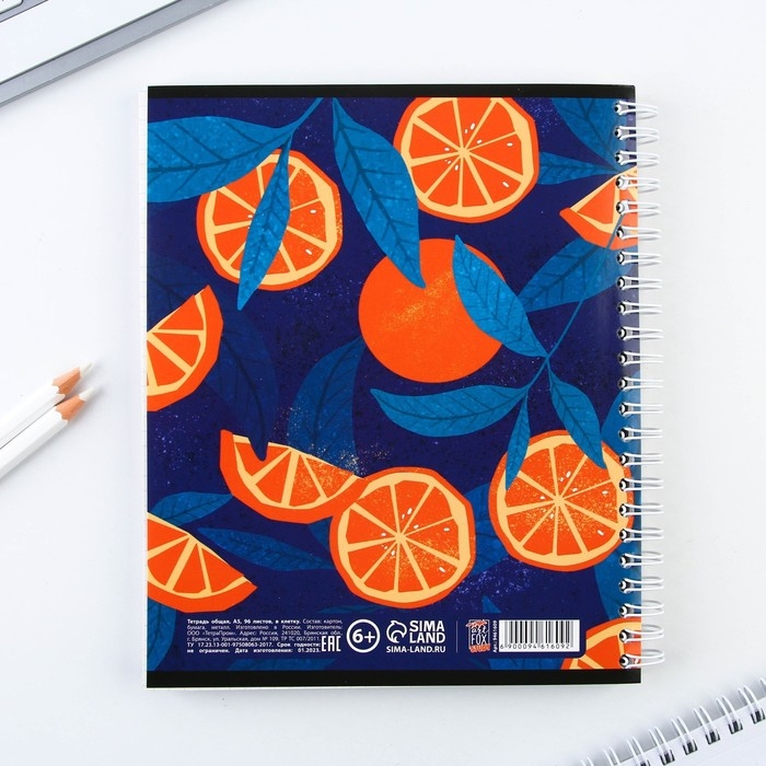 Тетрадь в клетку, 96 листов А5 на спирали, &laquo;Лови момент&raquo; ,обложка мелованный картон 230 г внутренний блок №2, белизна 80%