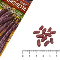 Семена Фасоль овощная &laquo;Виолетта&raquo;, 5 г, &laquo;Агрофирма АЭЛИТА&raquo;