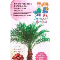 Семена Финик Робелена (карликовая финиковая пальма) 5шт Детская грядка