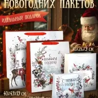 Пакеты подарочные новогодние &laquo;Время чудес в Новом году&raquo;, набор 4 шт.