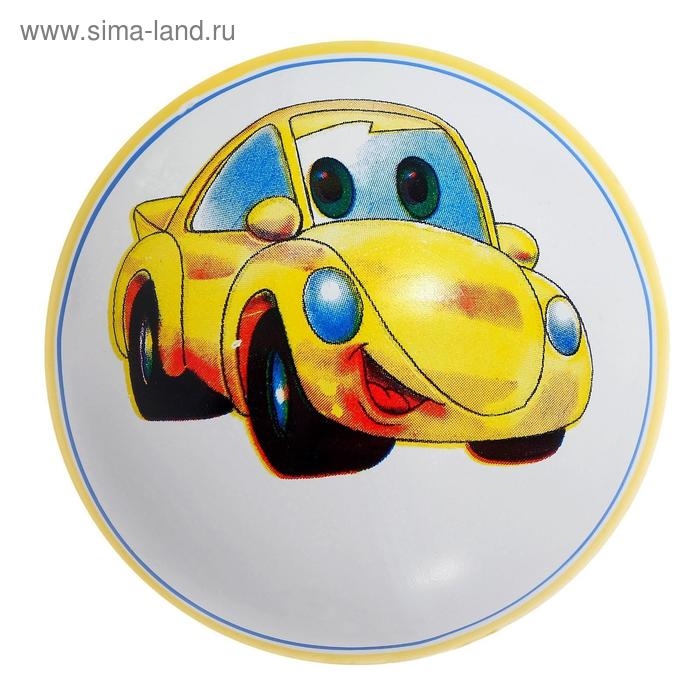 Мяч резиновый, диаметр 100 мм, (рисунок), цвета МИКС Мяч резиновый, диаметр 100 мм, (рисунок), цвета МИКС