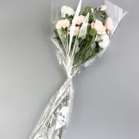 Пакет для цветов, конус под гладиолус, 14+52×80 см, прозрачный