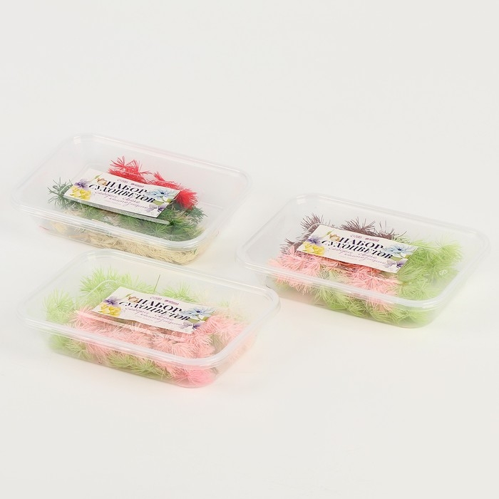 Набор сухоцветов «Яркий день», цвет МИКС Набор сухоцветов «Яркий день», цвет МИКС