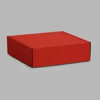 Коробка самосборная, красная, 24 х 24 х 7,5 см