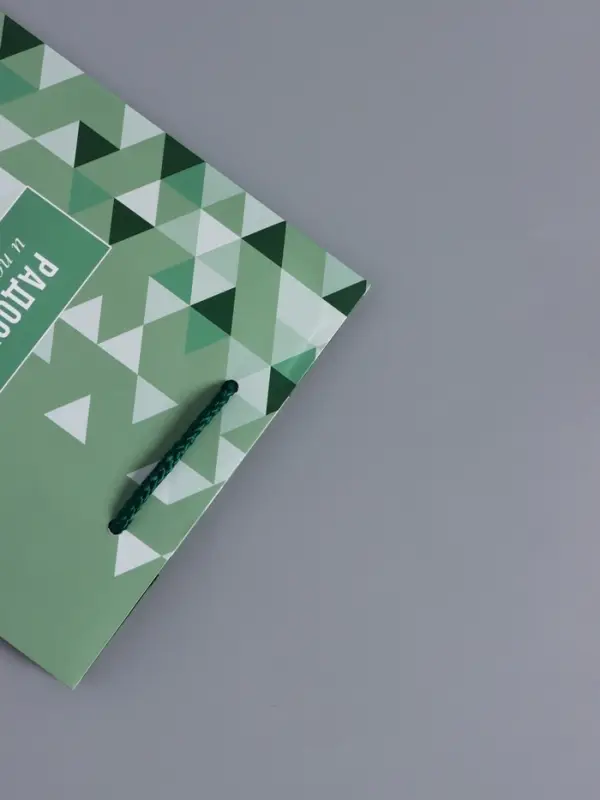 Пакет подарочный ламинированный "Радости и позитива" 18 х 22,3 х 10 см