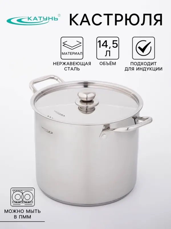 Кастрюля Катунь &laquo;Титан&raquo;, 14.5 л, d=28 см, h=24 см, с крышкой, капсульное дно, индукция, нержавеющая сталь, AISI - 201, хромированная