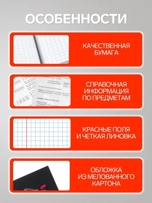 Предметная тетрадь по литературе Hatber &laquo;Буквица&raquo;, 48 листов, в линейку, со справочным материалом, обложка из мелованного картона